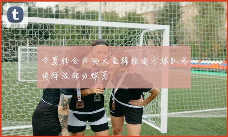 今夏转会市场大鱼稀缺南方球队或将释放部分球员